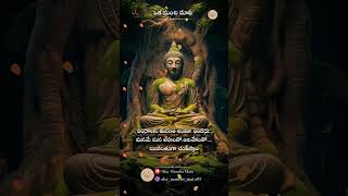 Oka Manchi Mata by Gautam Buddha..@OkaManchiMata-97 #shorts #ytshorts #trending #motivation #quotes