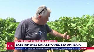 Εκτεταμένες καταστροφές στα Αμπέλια της Δυτικής Αχαιας