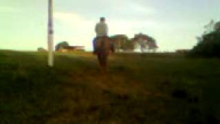 Davi arthur andando de cavalo 2