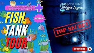 FISH TANK TOUR!! Brine Shrimp Feeding & Aquarium Tour!! (Our MOST Requested Video Yet!!)