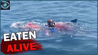 This Great White Shark Encounter Left Steve Fighting for His Life! | shark encounter