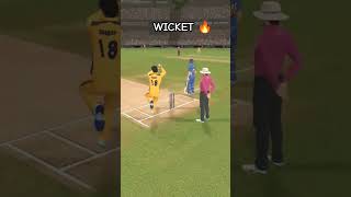 Wicket #viral #cricket #cricketshorts #youtubeshorts #viral