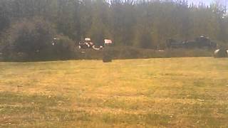 Truck in the ditch in front of the house