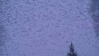 Blizzard Snow Storm Thursday Jan 4 2018 Time Lapse Sky Clouds CT Filmed South Cold Cloudy Day