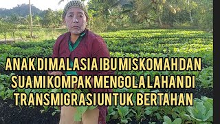 ngk pernah putus asa pasangan suami istri kompak bertani pak monas dan ibu miskomah transmigrasi