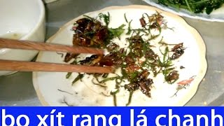 Bọ xít rang lá chanh - Ẩm thực Tây Bắc