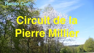 S1-09-Circuit de la Pierre Millier / #PierreMillier