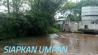 Siapkan umpan jagoan mancing panik tapi asik