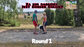 Challenge. Czyli za kim bardziej jest Border Collie?