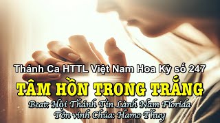 247 Tâm Hồn Trong Trắng - Hamo Thuy