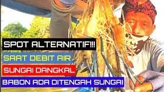 SPOT ALTERNATIF MANCING UDANG GALAH SAAT DEBIT AIR SUNGAI KECIL|| BABON MAKAN DI TENGAH SUNGAI