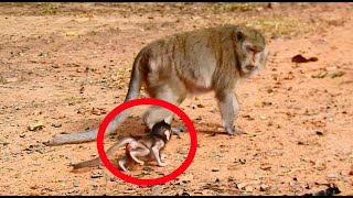 Genius mom Gladdis tries her best teach her baby  Gio walk on ground so precious moment