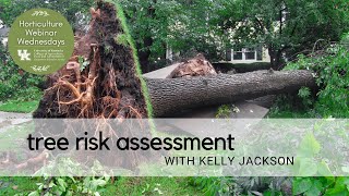 Tree Risk Assessment