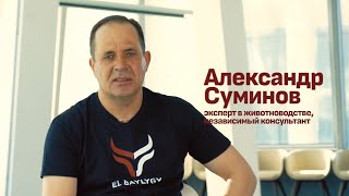 Александр Суминов -  Система “Корова-теленок”