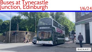 Buses at Tynecastle Junction, Edinburgh • Bus Vlog 1/6/24