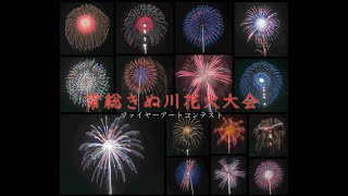 2024 常総きぬ川花火大会「ファイヤーアートコンテスト 創作8号玉15発」#fireworks #花火 #花火大会