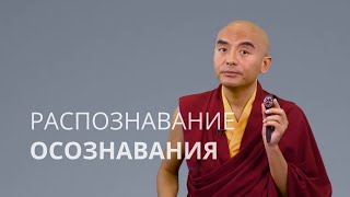 Распознавание осознавания — Йонге Мингьюр Ринпоче