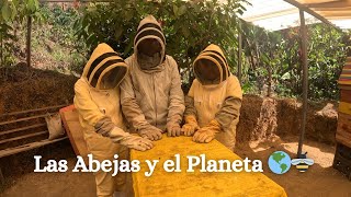 GUIA COMPLETA del TOUR de las ABEJAS en JARDIN ANTIOQUIA