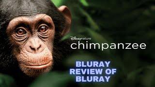 Bluray Review of Disneynature: Chimpanzee