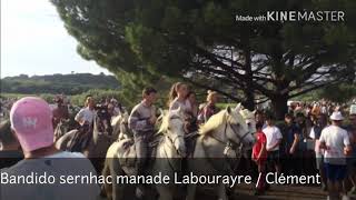 Bandido sernhac parcours ouvert manade Labourayre - Clément 11/08/2019