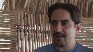 DRISCOLL´S ENTREVISTAS TEAM BUILDING VALLARTA