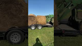 Loading up hay for the cows coming tomorrow. #hay #cattle #roundbales #farming #farmlife