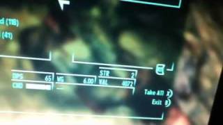 Fallout new Vegas were to find pushy