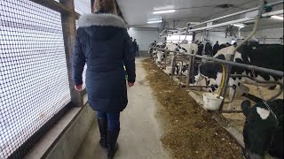 2024 Barn Tours | Tag Along As We Tour Other Farms  | Waterloo County @DairyfarmersCa