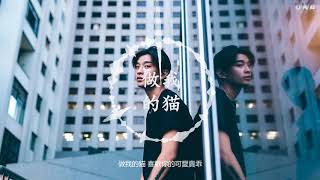 做我的貓 —— 滿舒克 Young Jack (Lyrics Video)