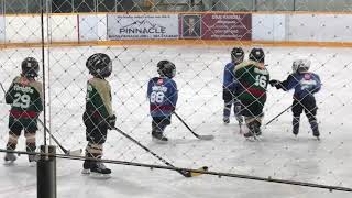 Julian Timbits hockey