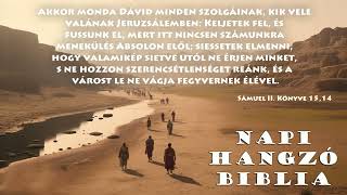 NAPI HANGZÓ BIBLIA - 151 .RÉSZ - 05.31. - 2Sám 17,1-29; Jn 19,23-42; Zsolt 119,129-152; Péld16,12-13