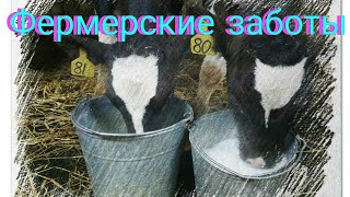 Стоимость кормов на Урале//The cost of feed in the Urals//饲料在乌拉尔的成本//Die Kosten für Futter im Ural//