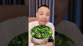 Thức uống LÀM SẠCH SÁN CHÓ