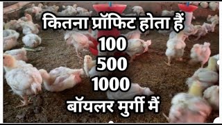 How mach profit 100 500 1000 broiler poultry / कितना प्रॉफिट होता हैं 100 और 500 बॉयलर पोल्ट्री मैं