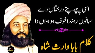 Baba Waris Shah Kalam | Waris Shah Heer Poetry | Waris Shah Shayari |Aithy Kaiyan Nu Maan Wafawan Da