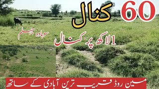 60 kanal agriculture land for sale in Jhelum land for sale in Pakistan #agriculture