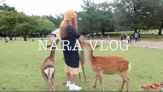 Nara Vlog