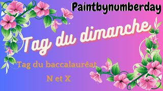 Tag du Baccalauréat N et X #paintbynumberday #paintbynumberdaypointdecroix #tag #crossstitch