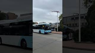 Interline 8199 - Yutong E12 #shorts #buses #sydneybuses