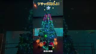 デンキウナギのビリビリツリー🎄