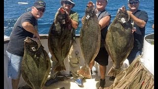 Mirage Sportfishing - California Halibut Fishing 55lb and 36lb  08.17.2011 Channel Islands