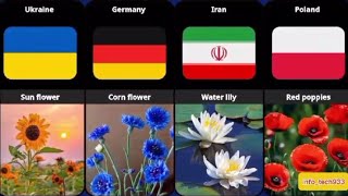 national flowers 🌹 from different countries 🌎