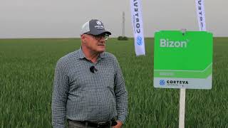 Testimonial Dumitrache Burlacu - Neltic Agro Braila despre erbicidul Bizon