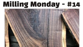 Milling Monday #14 | My Slab Drying Process-Pt. 1