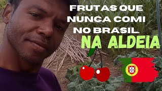 Frutas que nunca comi no Brasil. #portugal ¢#europa