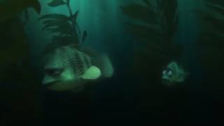 Exclusive! A Brand New ‘Finding Dory’ Trailer