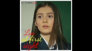 Love at first sight - ❤ | Love WhatsApp status | Love at first sight status | status guru