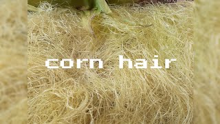 The Best Medicine For Kidney is corn hair just boiled for 5 minutes and kept it cold and drink.