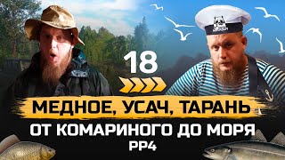 Прокачка С НУЛЯ ● От КОМАРИНОГО до МОРЯ ● 18 серия. МЕДНОЕ ● Русская Рыбалка 4