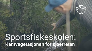 Sjøørretriket | Den viktige kantvegetasjonen for sjøørreten